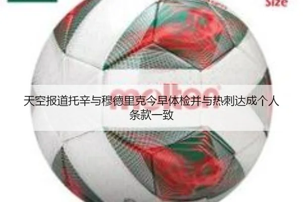天空报道托辛与穆德里克今早体检并与热刺达成个人条款一致